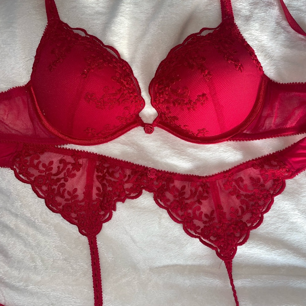 Feline Lingerie Bra & Garter belt Crimson Red